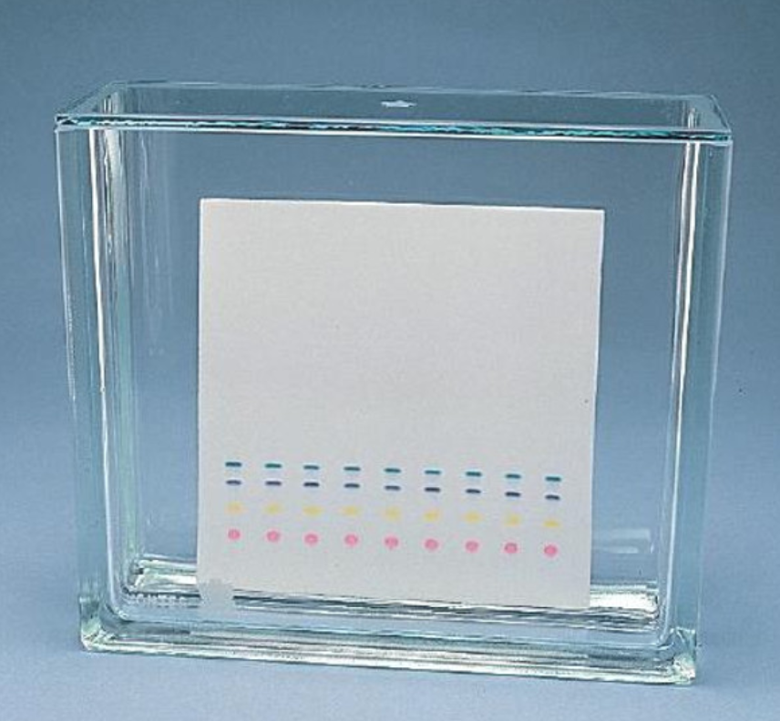 cuba-para-placa-de-tlc-de-20-x-20-cm-con-tapa-erle-quimica-si